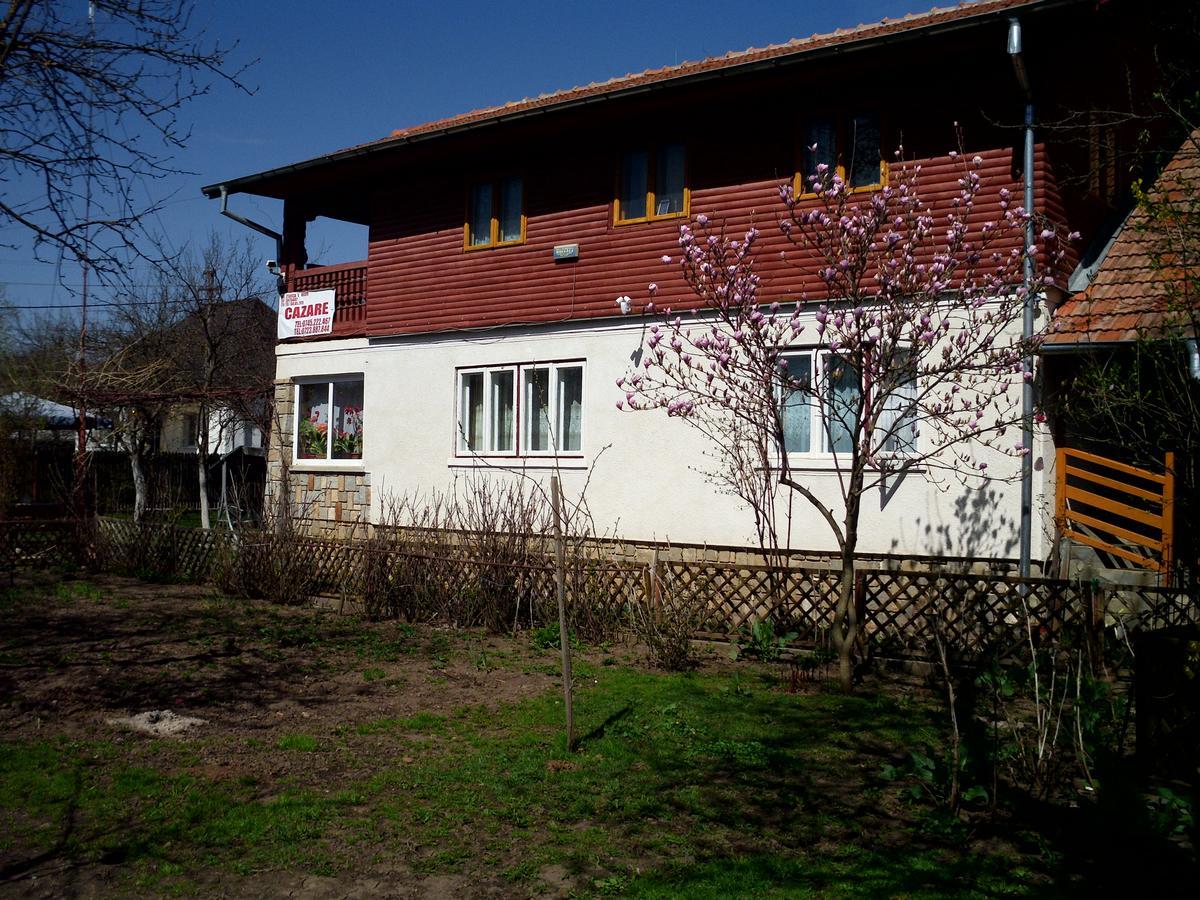 Vila Mihaela Breaza  Εξωτερικό φωτογραφία
