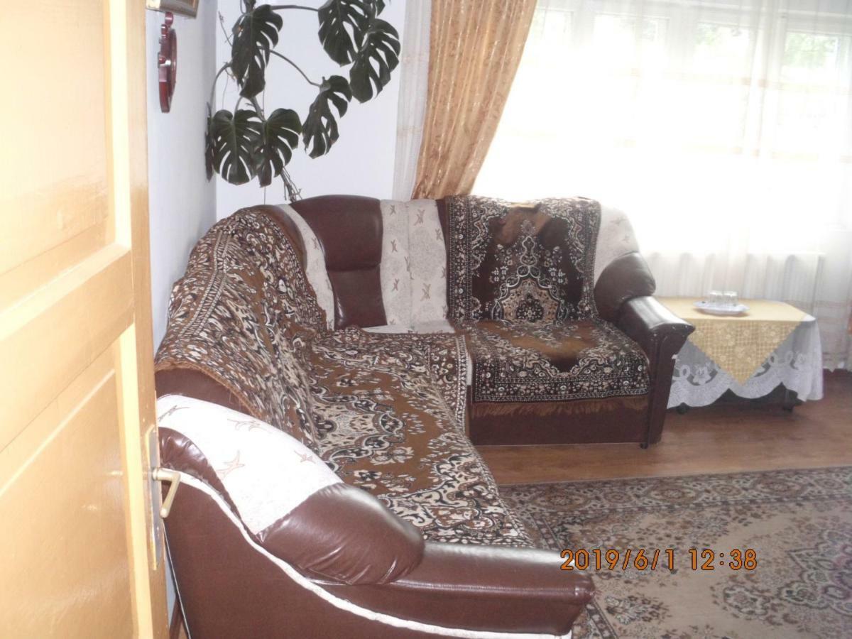 Vila Mihaela Breaza  Εξωτερικό φωτογραφία