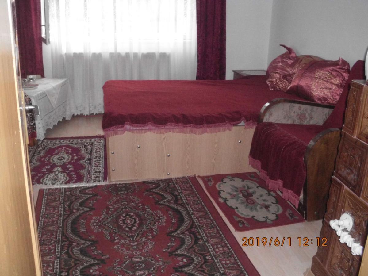 Vila Mihaela Breaza  Εξωτερικό φωτογραφία